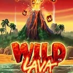 Wild Lava game cover